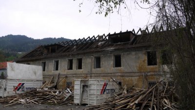 Entfernung von Holzteilen